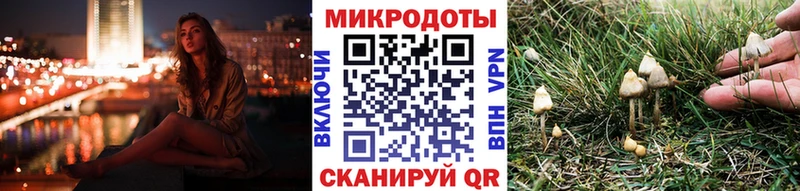 мега зеркало  маркетплейс какой сайт  Галлюциногенные грибы Magic Shrooms  Анива 